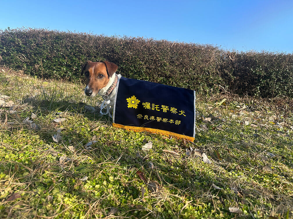 2026年奈良県警嘱託警察犬合格1