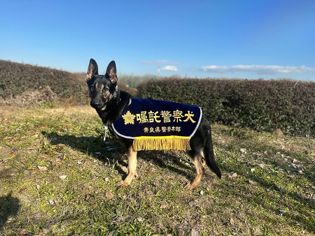 2026年奈良県警嘱託警察犬合格3