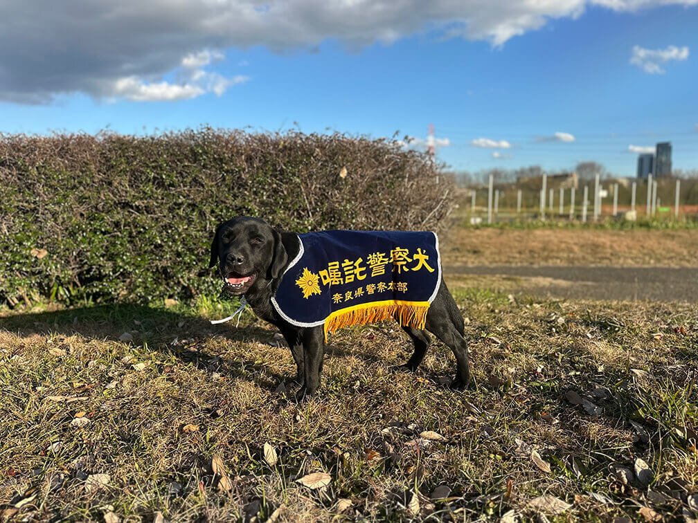 2026年奈良県警嘱託警察犬合格2